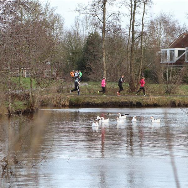 2e Centrumcross Run 2015 | Wielrennen Surhuisterveen