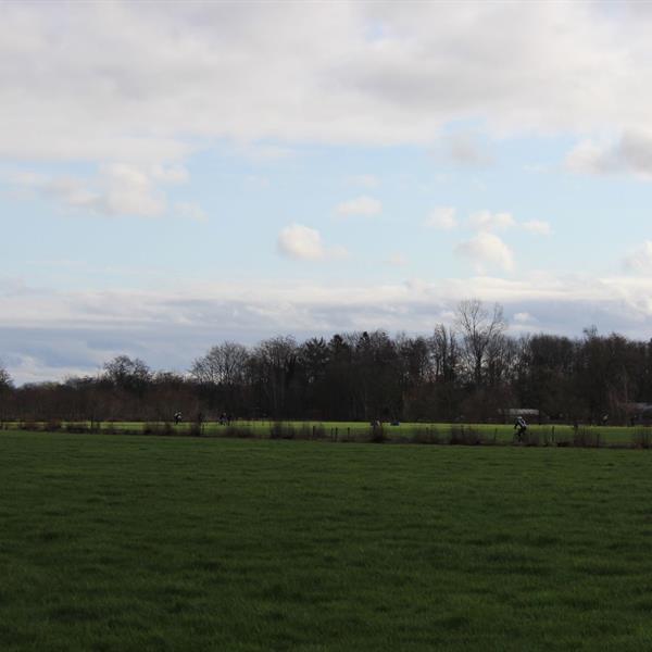 TFCS Veldtoertocht maart 2024 | Wielrennen Surhuisterveen