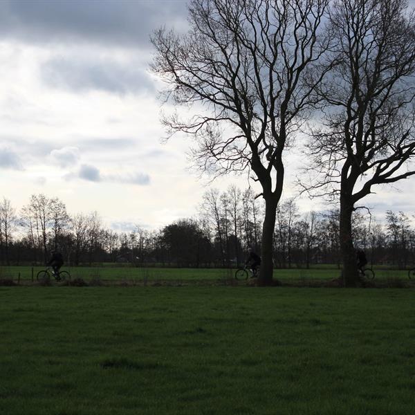 TFCS Veldtoertocht maart 2024 | Wielrennen Surhuisterveen