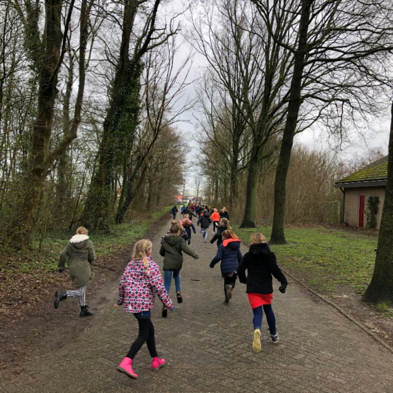 Negenhonderd kinderen in Achtkarspelen en Tytsjerksteradiel op de gezonde tour!