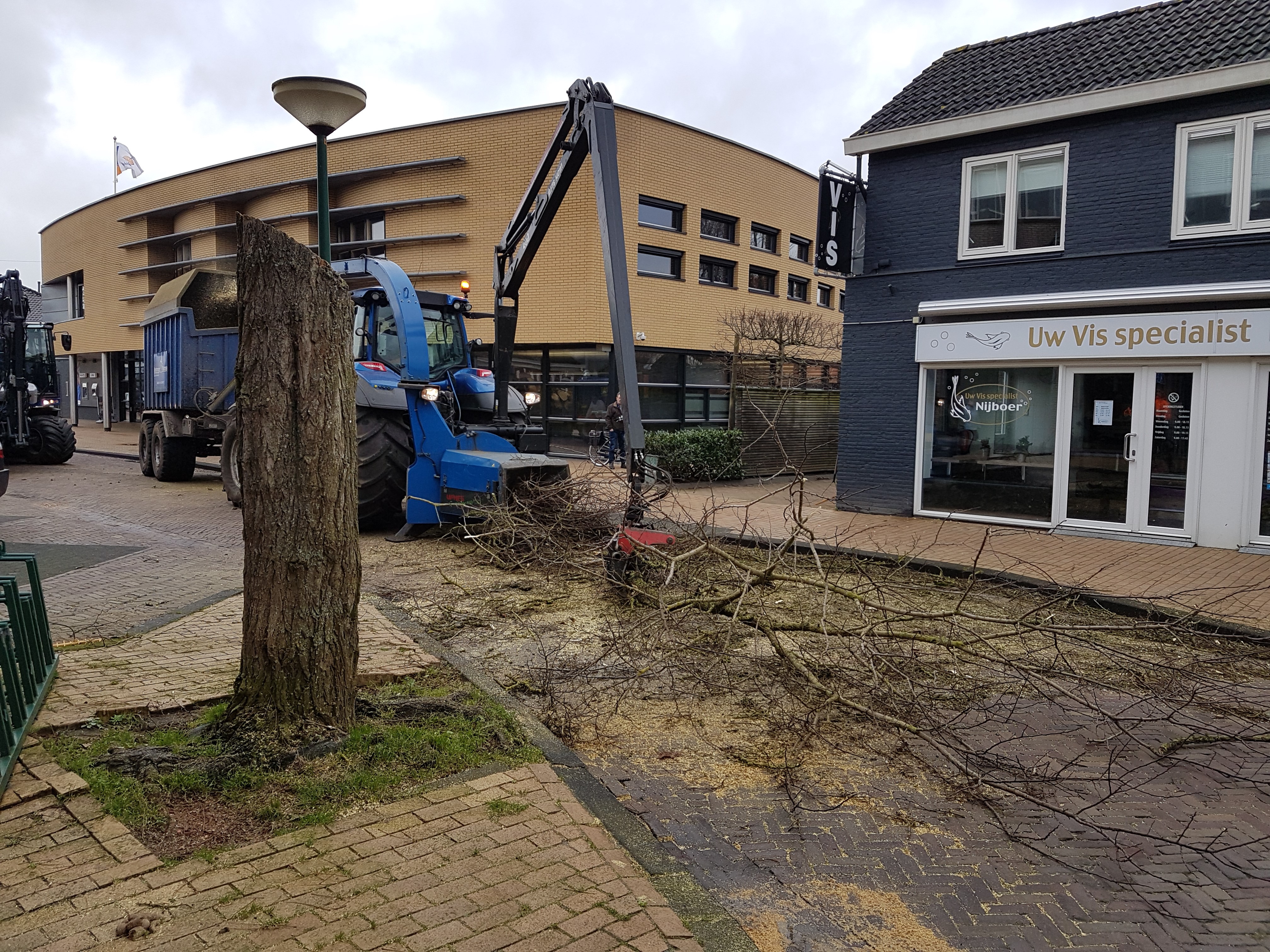 Bomen leggen het loodje in het centrum van Surhuisterveen