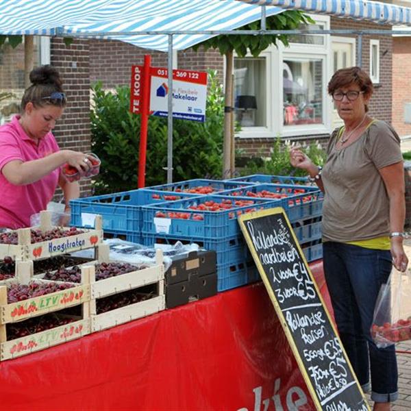 32e Profronde Surhuisterveen 2013 - Dames | Wielrennen Surhuisterveen