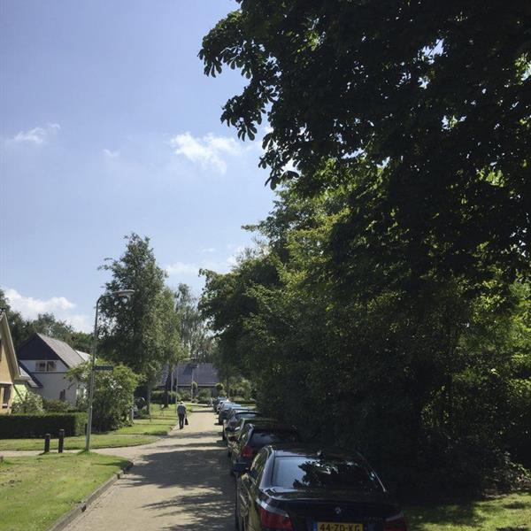 12e Pieter Weening Classic 2017 (foto's Sander Martens) | Wielrennen Surhuisterveen