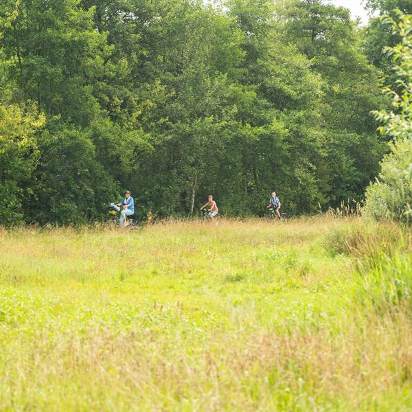 20e Pieter Weening Classic 2025 | Wielrennen Surhuisterveen