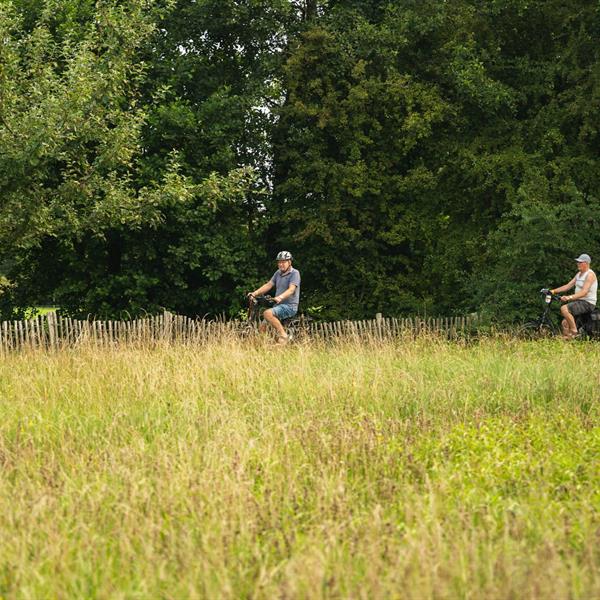 20e Pieter Weening Classic 2025 | Wielrennen Surhuisterveen