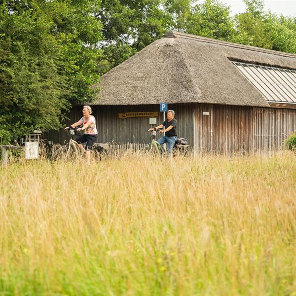 20e Pieter Weening Classic 2025 | Wielrennen Surhuisterveen