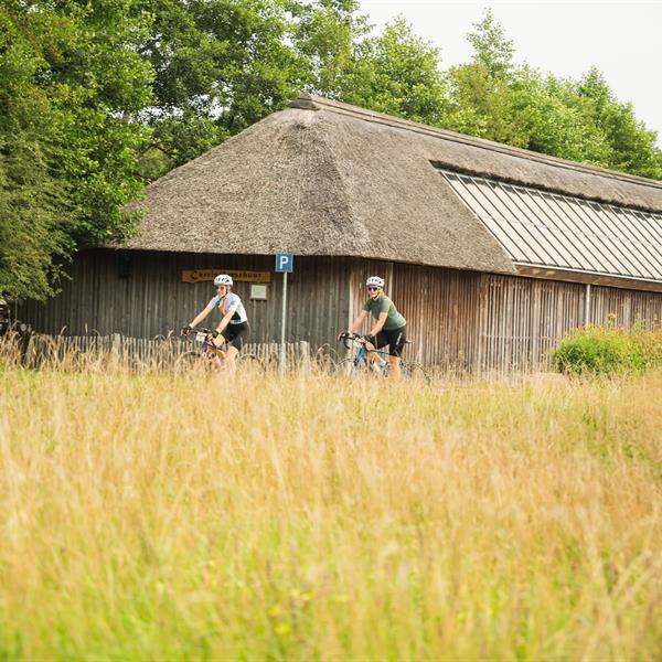 20e Pieter Weening Classic 2025 | Wielrennen Surhuisterveen