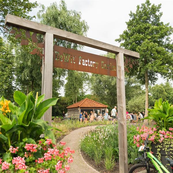 20e Pieter Weening Classic 2025 | Wielrennen Surhuisterveen