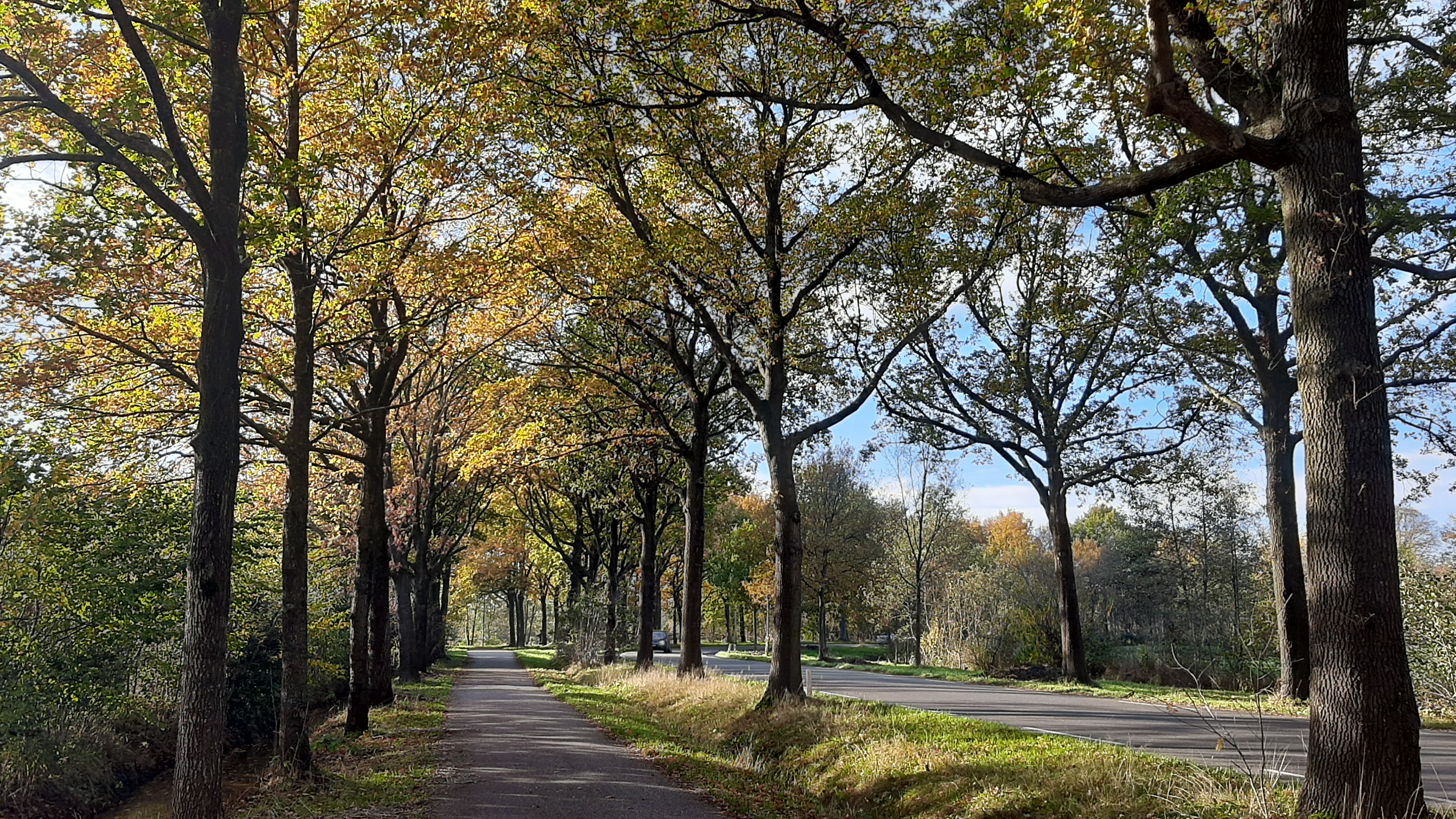 Criteria in Fryslân in vijftig jaar van 25 naar 5