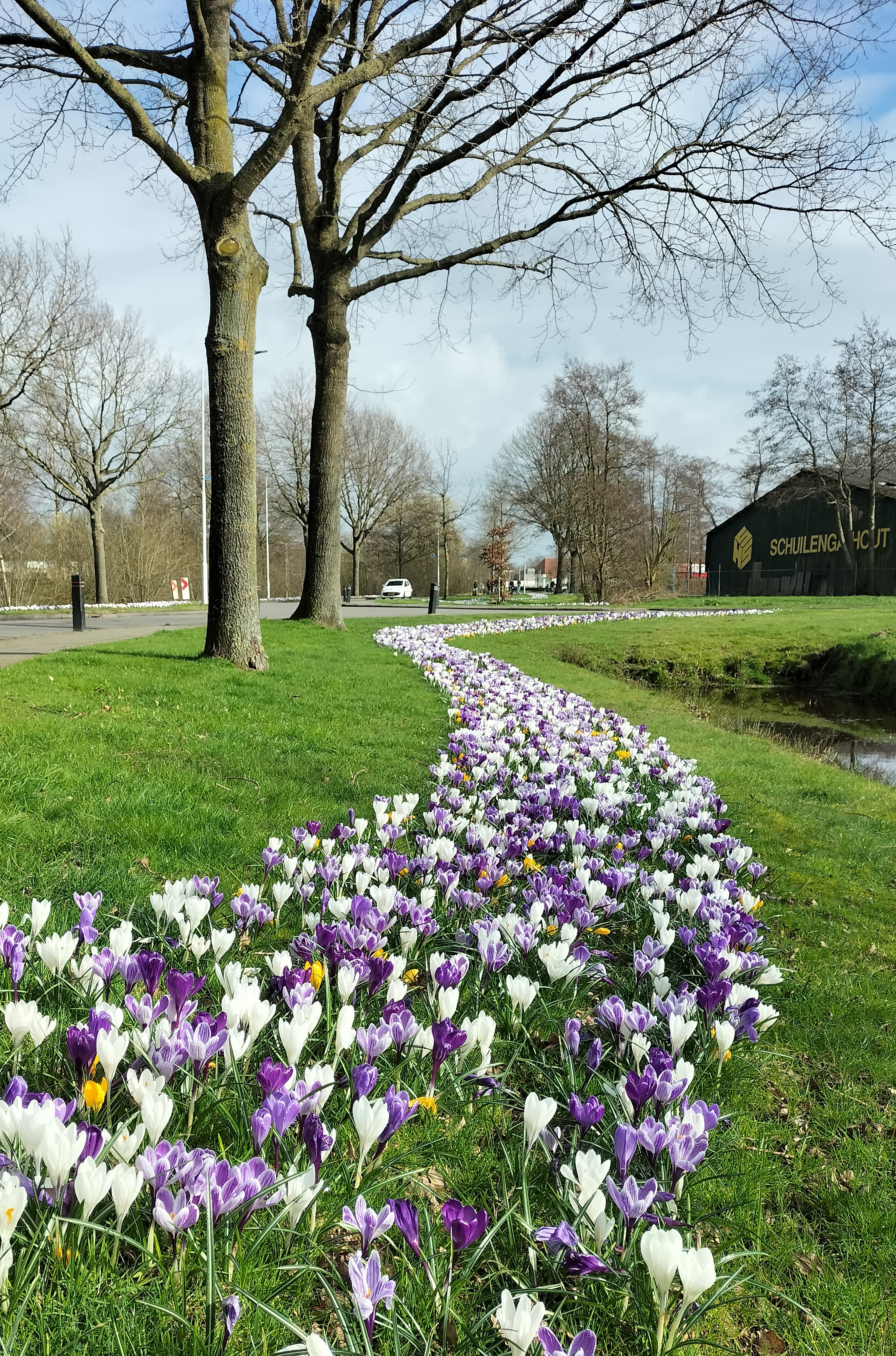 Markant oriëntatiepunt parcours veldrit Surhuisterveen tegen de vlakte