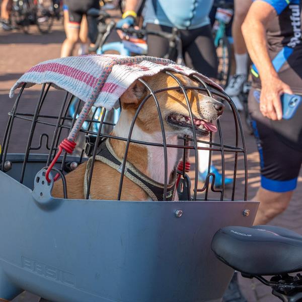 21e Pieter Weening Classic 2026 | Wielrennen Surhuisterveen